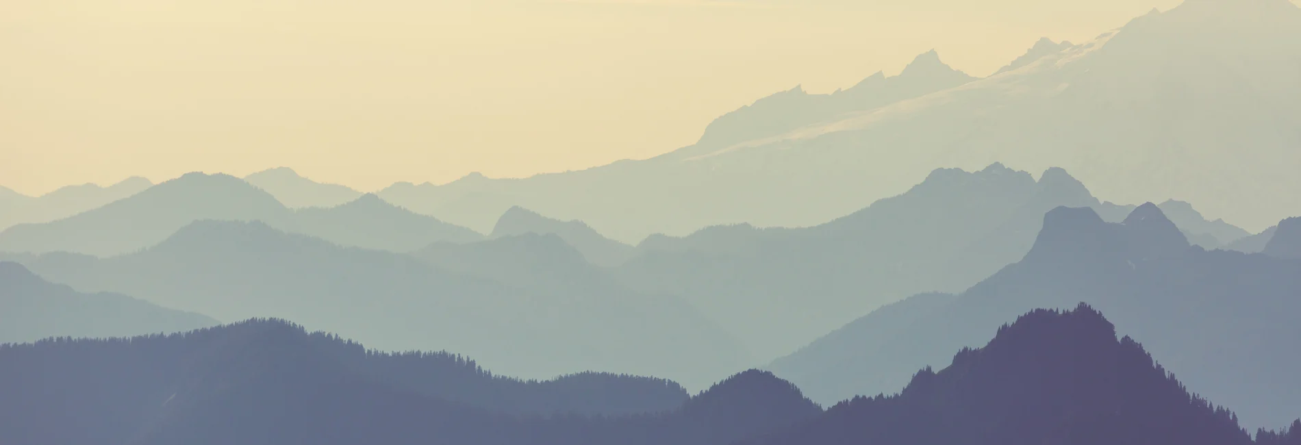 Massage therapy and Reiki services at Inner Light Wellness